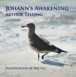 Johann's Awakening